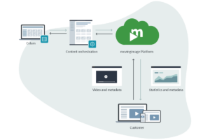 Video Asset Management