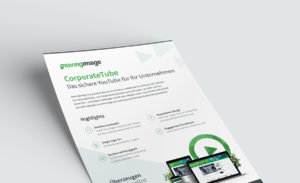 CorporateTube Flyer