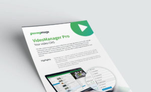 Flyer VM Pro